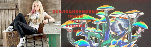 соль ск Нея