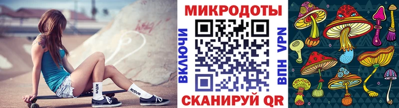 Купить где  Хабаровск  Галлюциногенные грибы GOLDEN TEACHER 